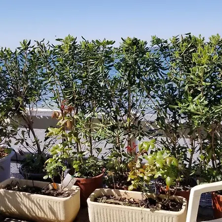 T2: Beachfront Comfort With Ac Apartment Balaruc-les-Bains